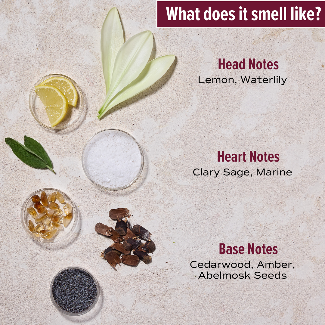 Gentle Shampoo