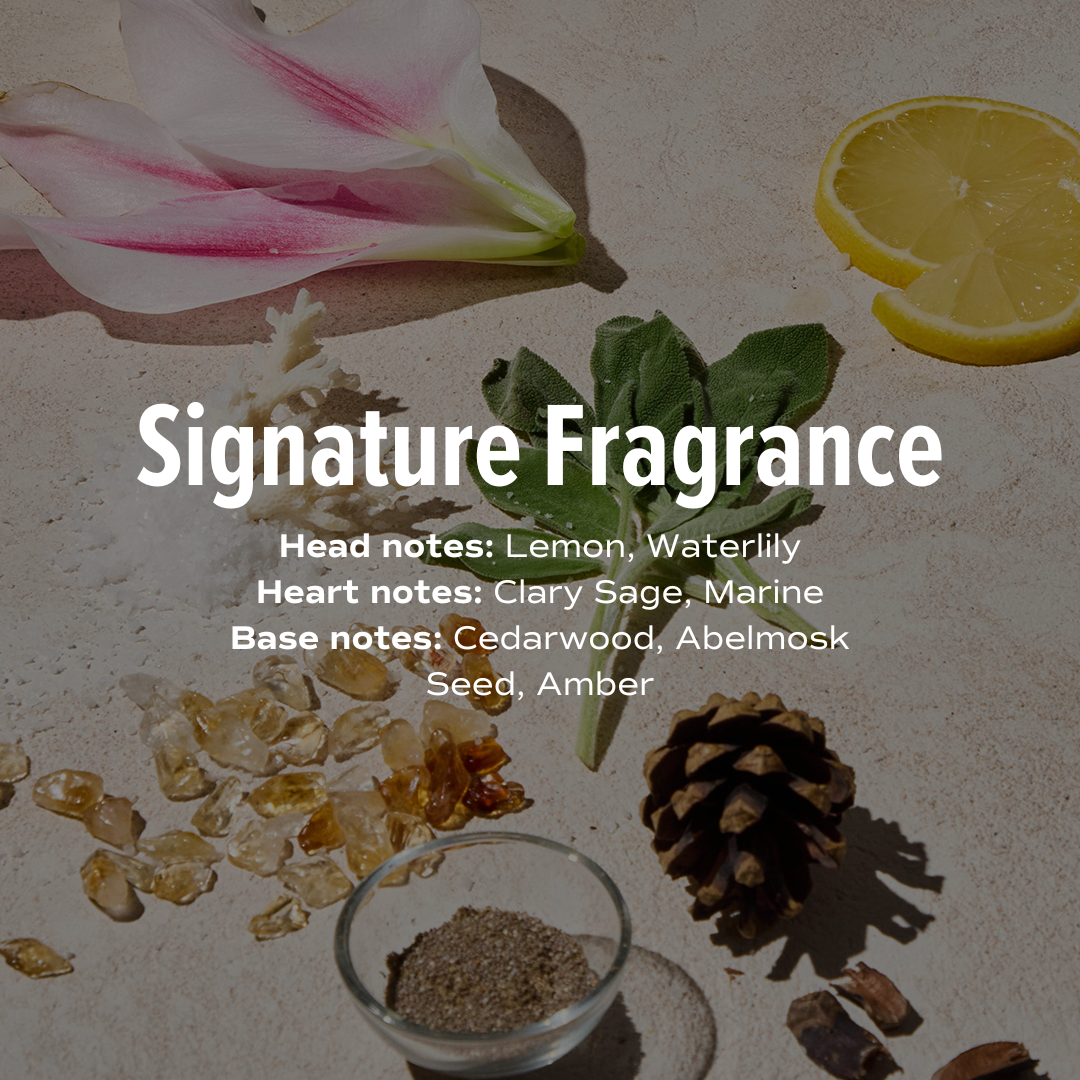 Ultra Definition Bundle