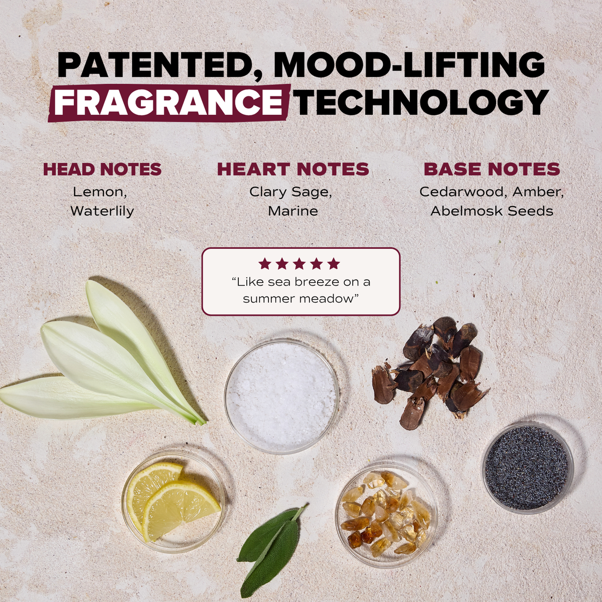 Styling Water | PRESALE