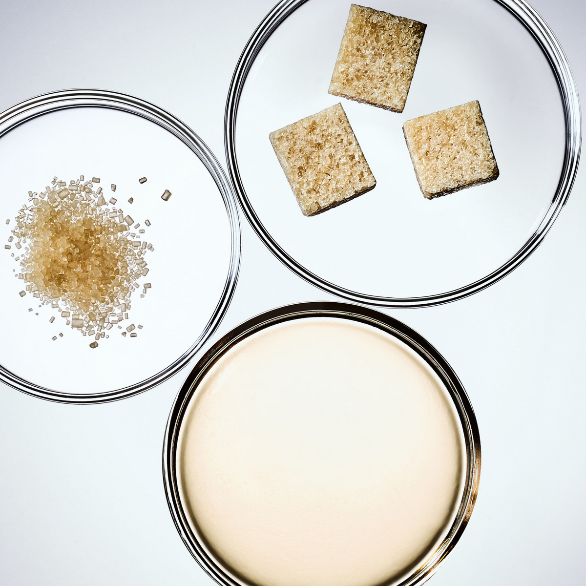 Three clear petri dishes with silver rims on a light gray background. One dish contains a small pile of fine beige sugar, one contains three square beige sugar crystals, and one contains a liquid syrup.
